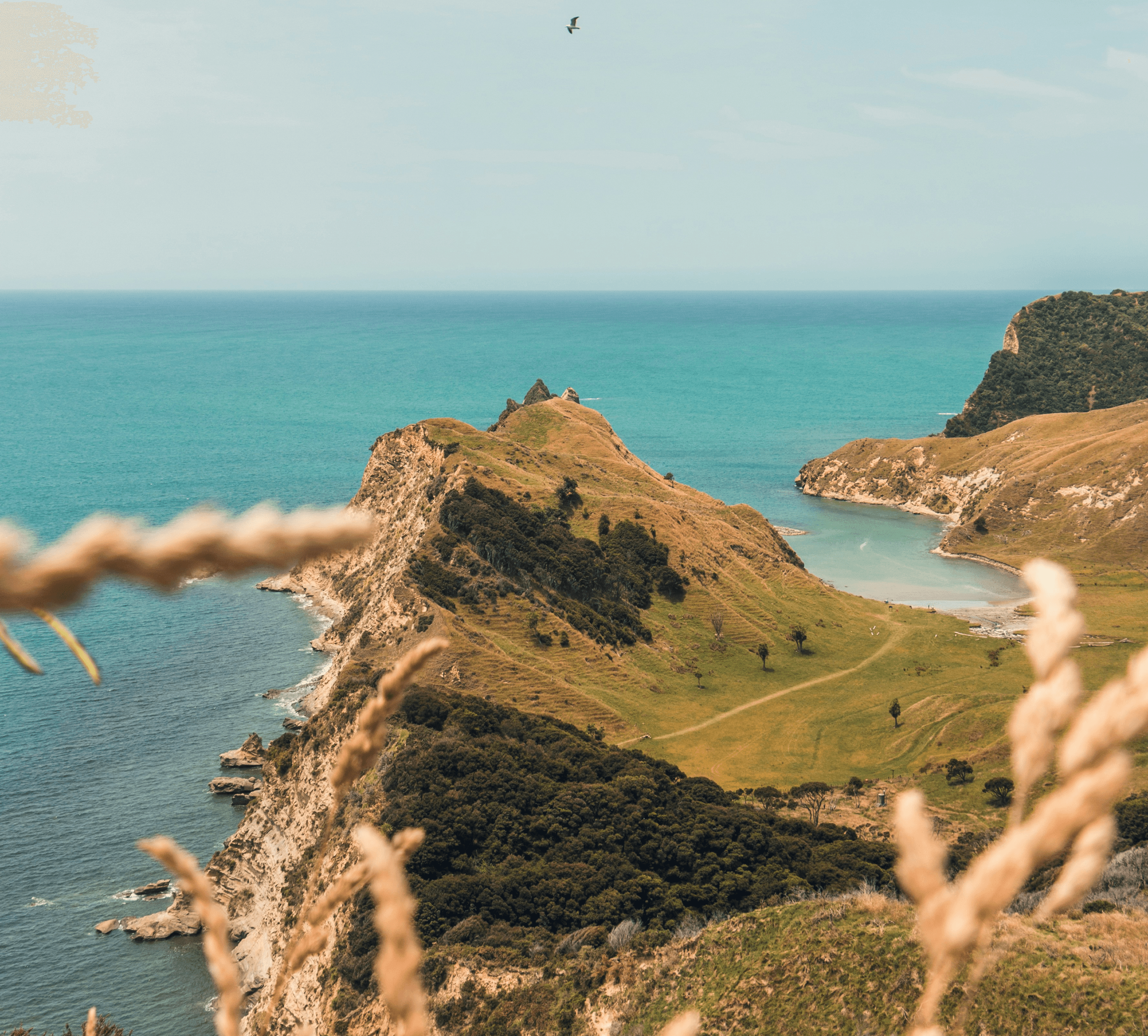Cook's Cove, Gisborne, New Zealand