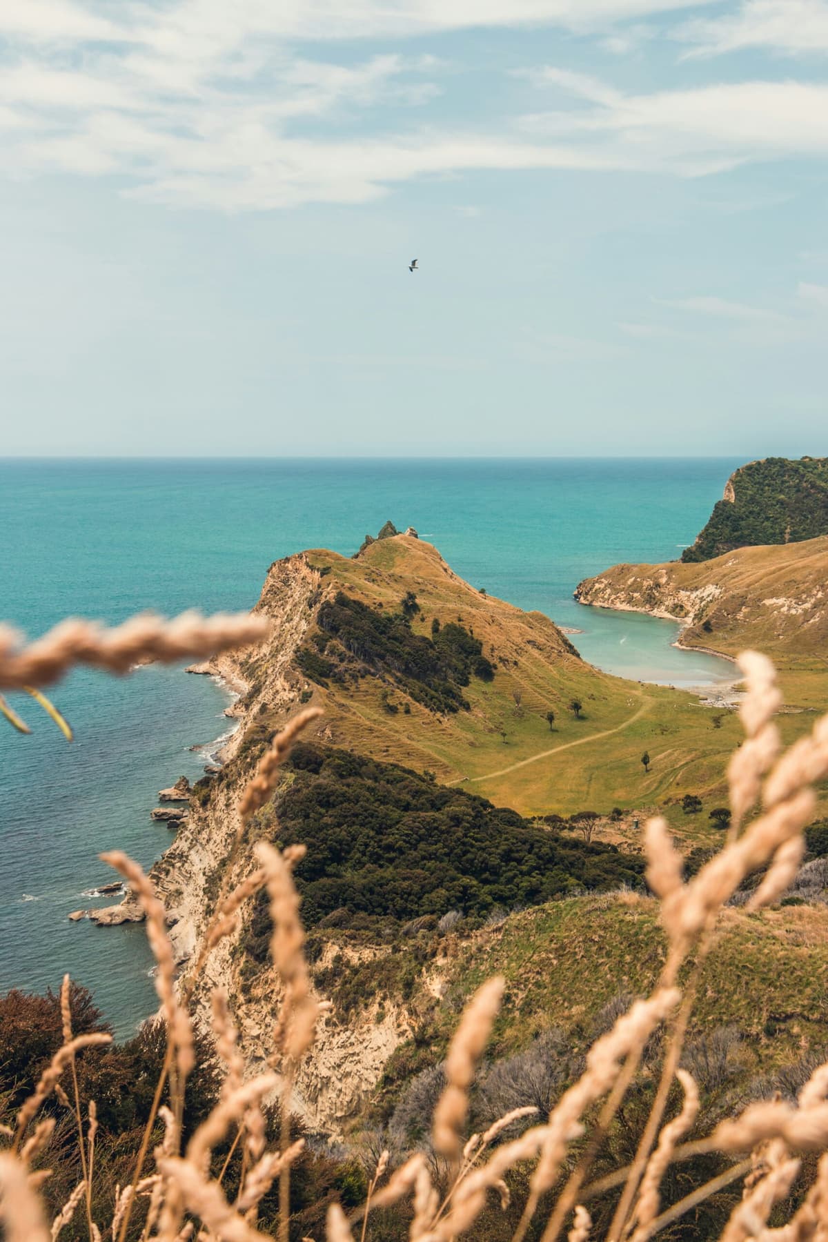 Affordable Web Design Solutions for Gisborne Small Business