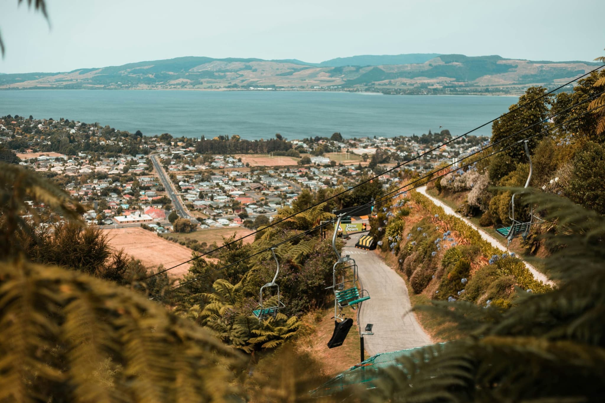 Featured image for Why Your Rotorua Business Needs Local SEO &amp; Not Just a Website