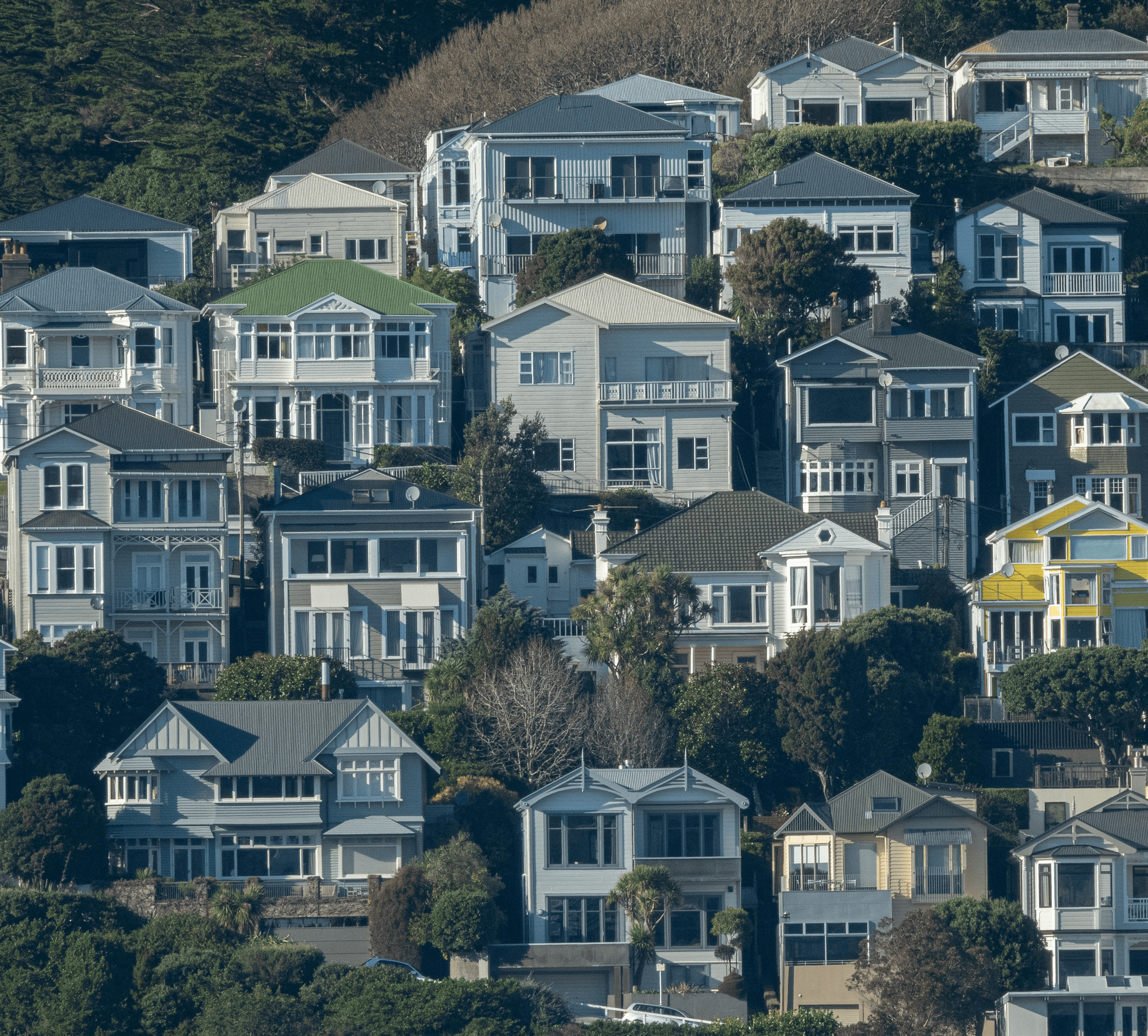 Houses on Mt Victoria, Wellington