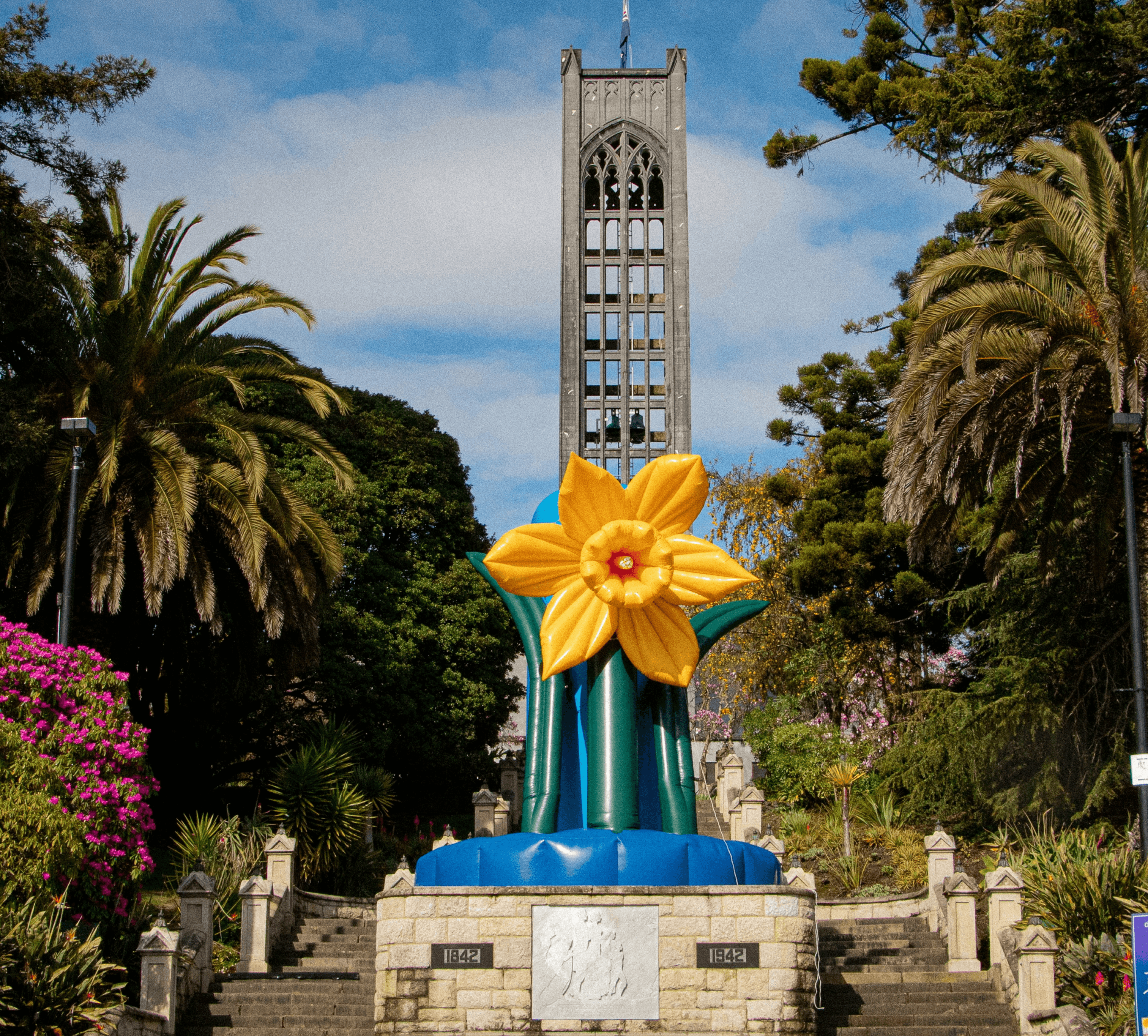 Cawthron Steps on Daffodil Day at Nelson Cathedral