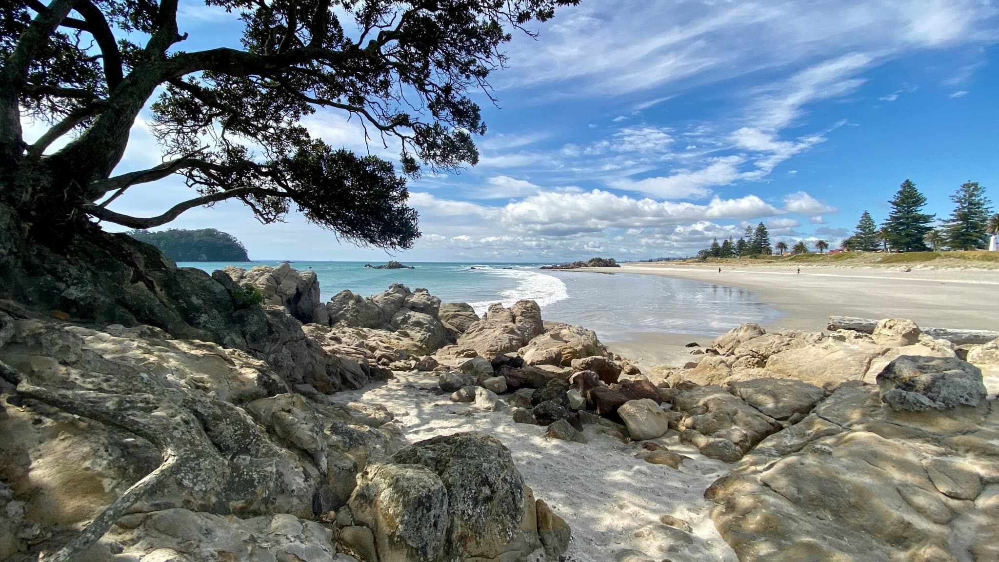 Featured image for SEO Tauranga: Rank Higher and Get More Leads