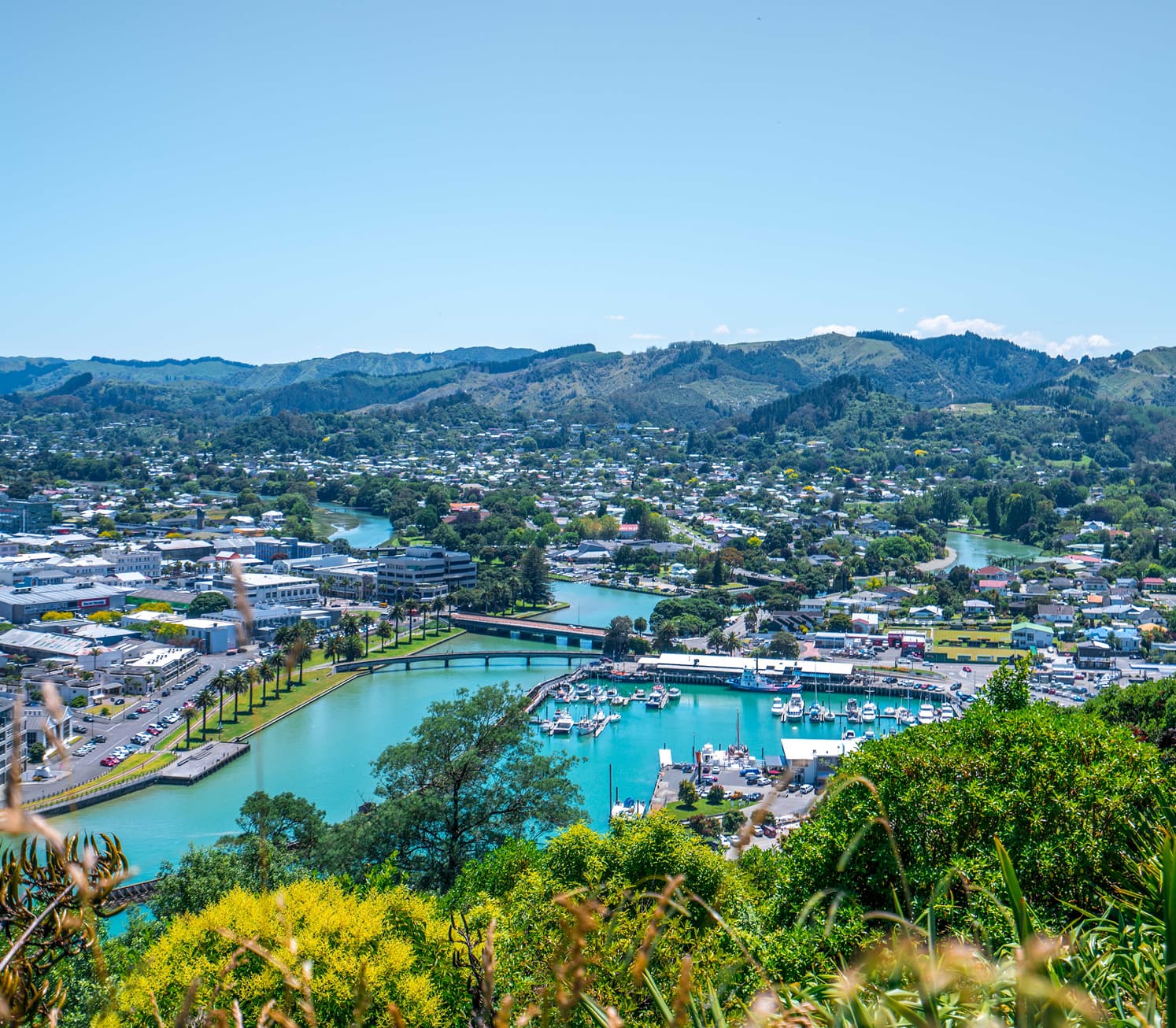 Gisborne town centre photographed from Birds Eye View