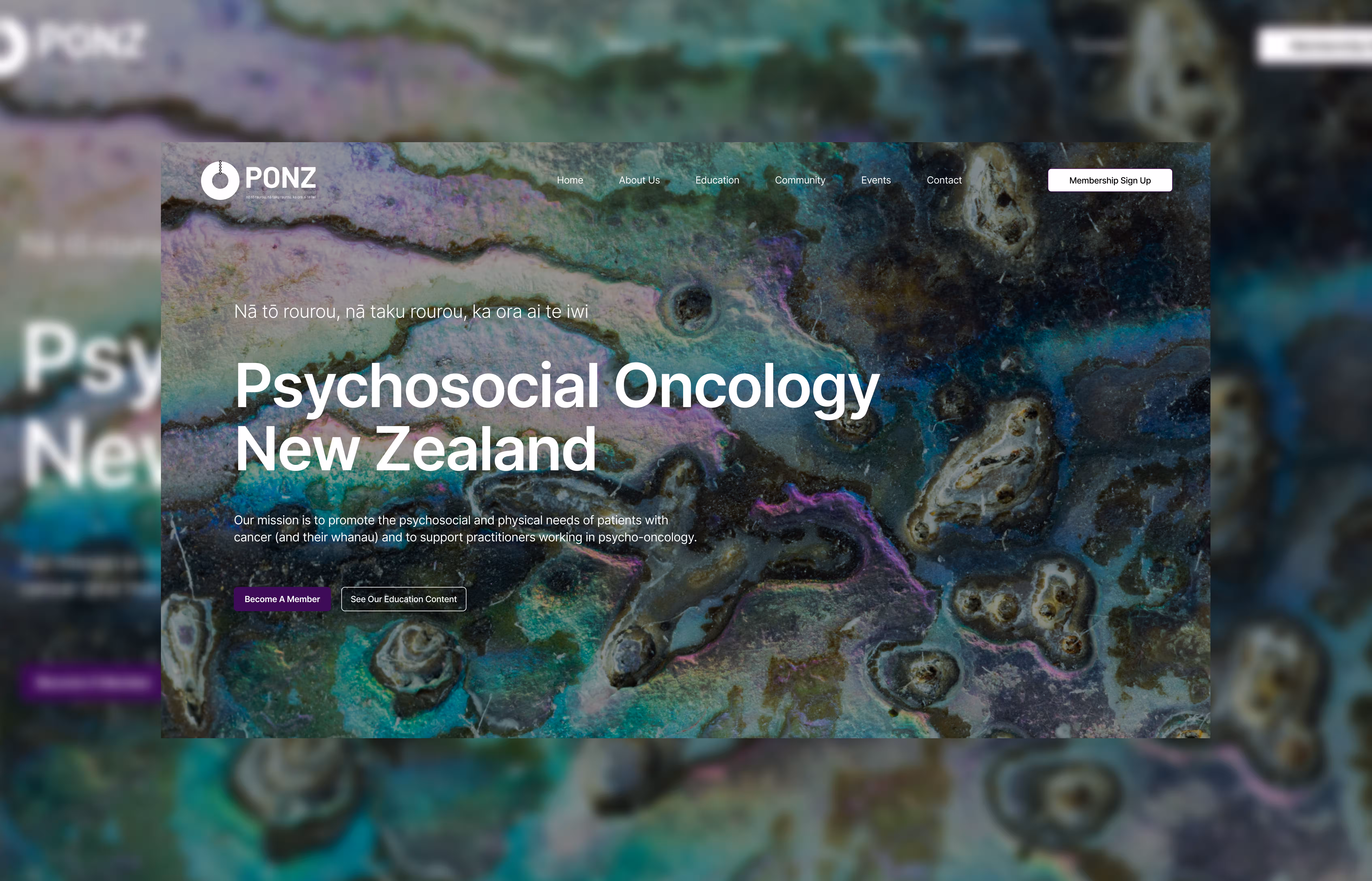 PONZ Hero section homepage