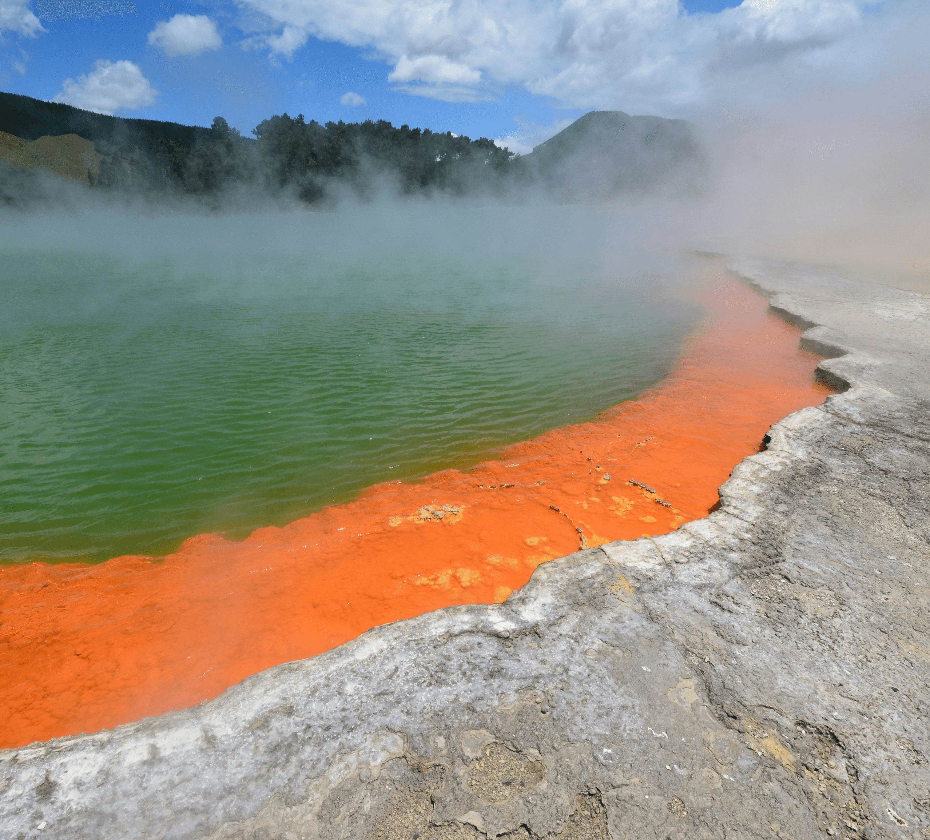 Waiotapu thermal wonderland in Rotorua